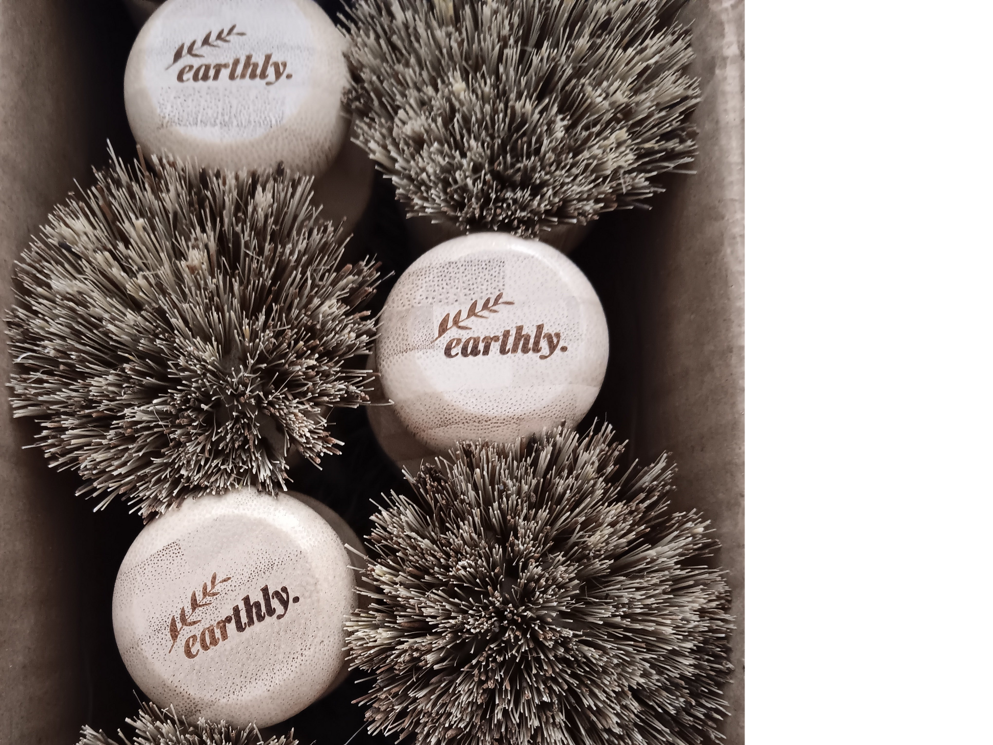 Compostable Pot Scrubber
