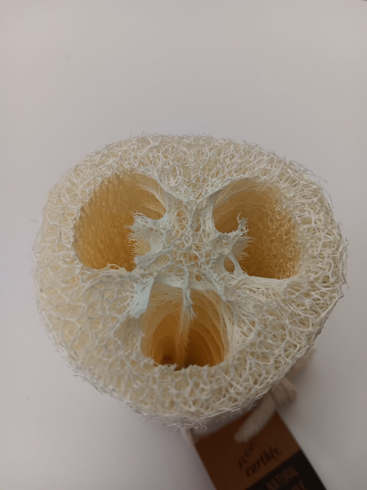 Loofah