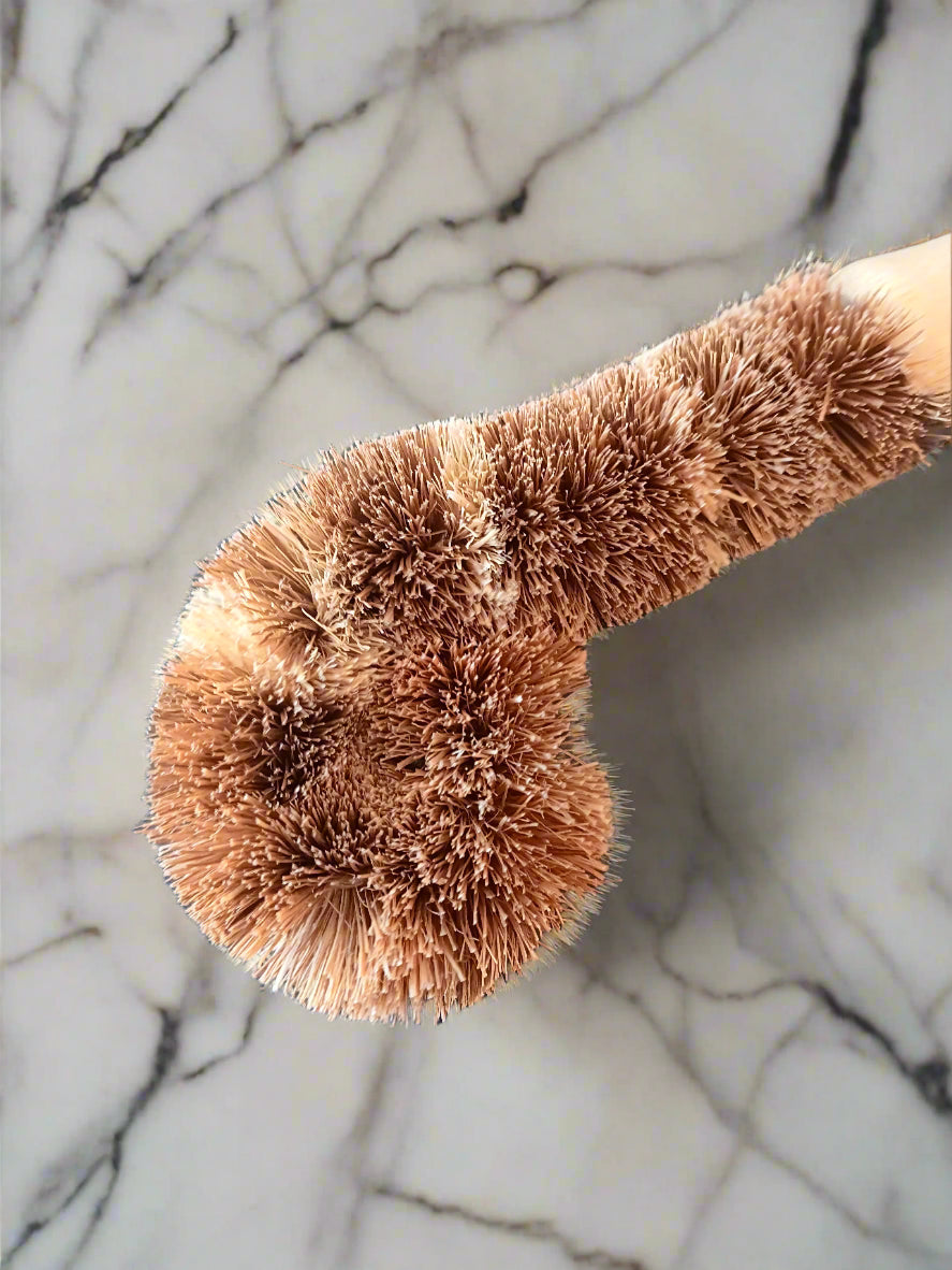 Compostable Household Cleaning Brushes