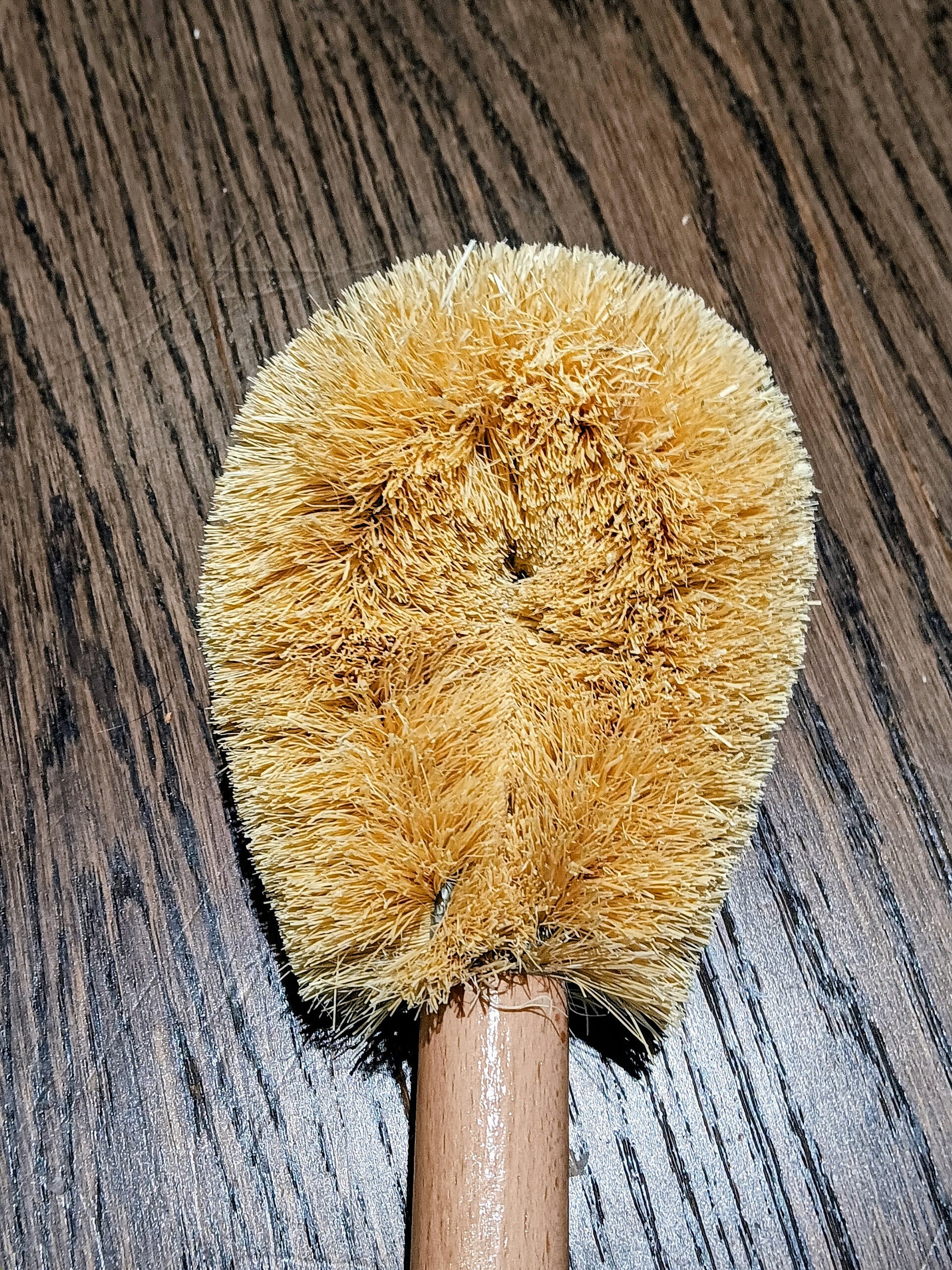 Toilet Cleaning Brush